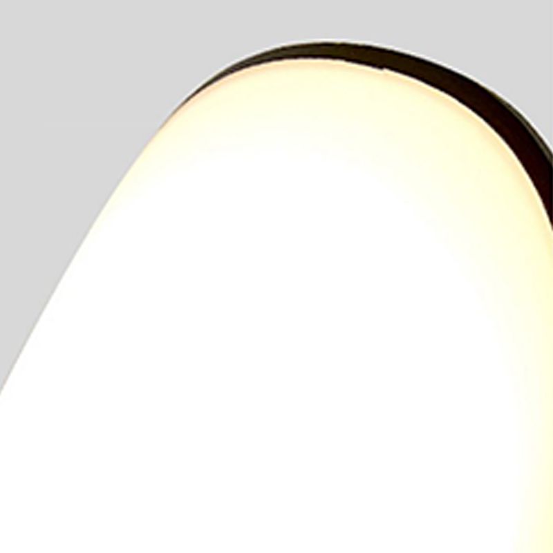 Simple Wall Sconce Curl Outdoor Wall Light Fixture with Acrylic Shade