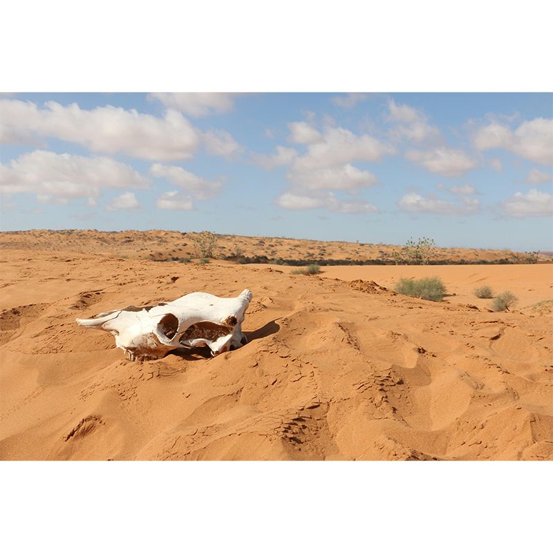 Environment Friendly Desert Mural Decorative Mildew Resistant for Bedroom Dining Room