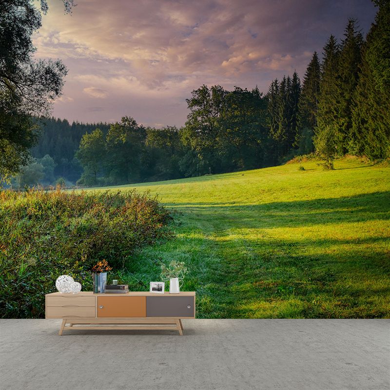 Forest Mural Decal Moisture Resistant Contemporary Bedroom Wall Covering