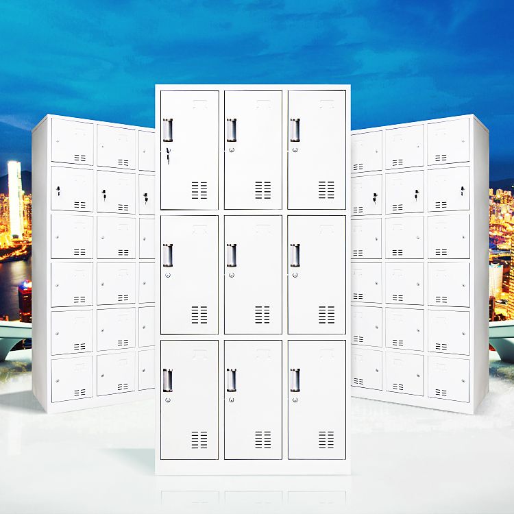 Metal Contemporary Cabinet for Home Grey Hinged Door Storage Cabinet