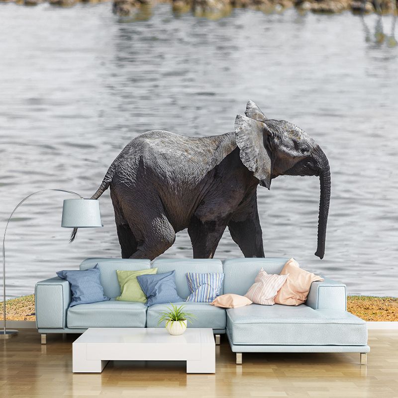 Photography Baby Elephant Mural Wall Decor Mildew Resistant Living Room Wall Mural Wall Art