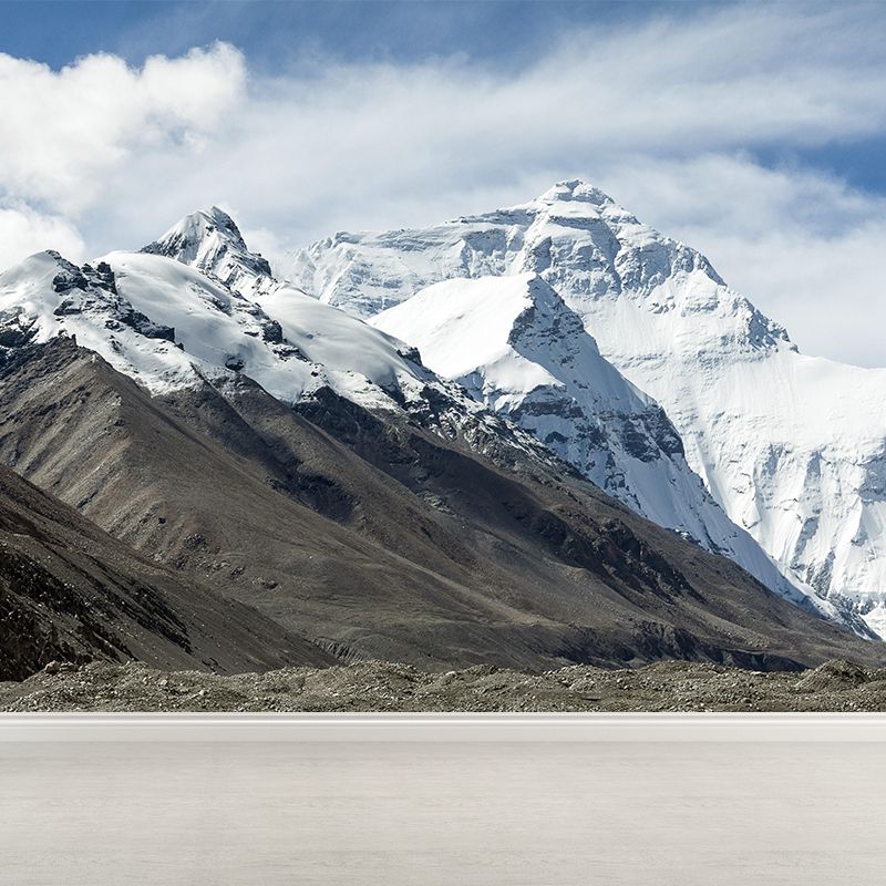 Mount Everest Mural Contemporary Mildew Resistant Family Room Wall Covering