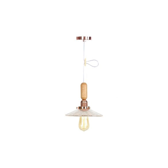 Globe/Cone/Small Bell Pendant Lighting Vintage Clear Glass 1 Licht Roségoud/Chrome hangende lamp met verstelbaar koord