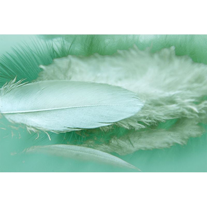 Light Bird Feather Mural Eco-friendly Decorative Wallpaper Home Decor