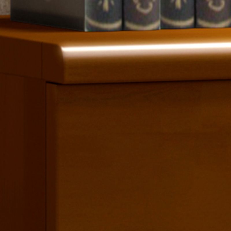 Single Modern Rectangle Side Cabinet Standard Wood Storage Cabinet