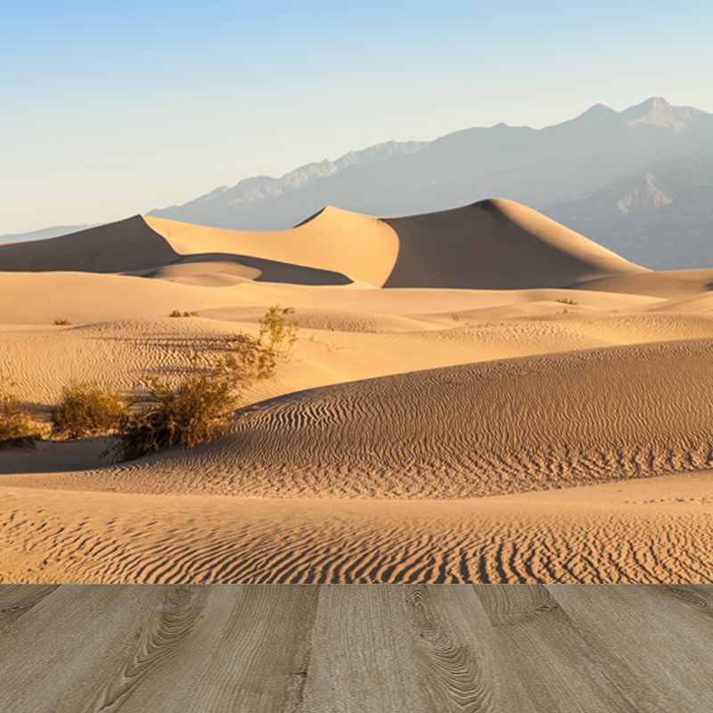 Desert Plants Wall Mural Decal Modern Non-Woven Material Wall Decor in Yellow for Home