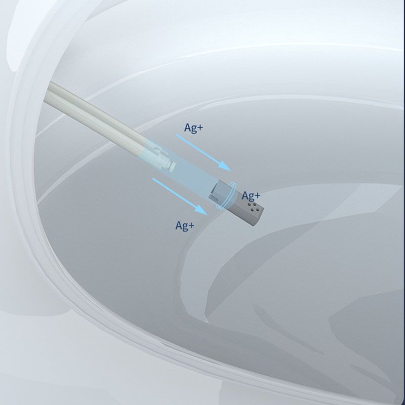 Contemporary Flush Toilet Floor Mounted One-Piece Toilet Porcelain Toilet Bowl