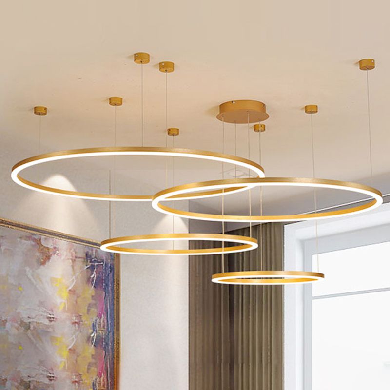 Modern Orbicular Pendant Lighting Fixtures Metal Pendant Chandelier