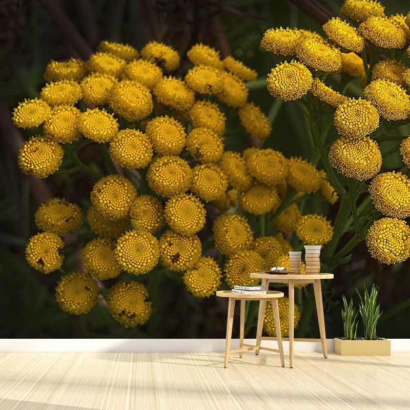 Tansy Flower Wall Covering for Girls' Bedroom Water Resistant Wall Decor