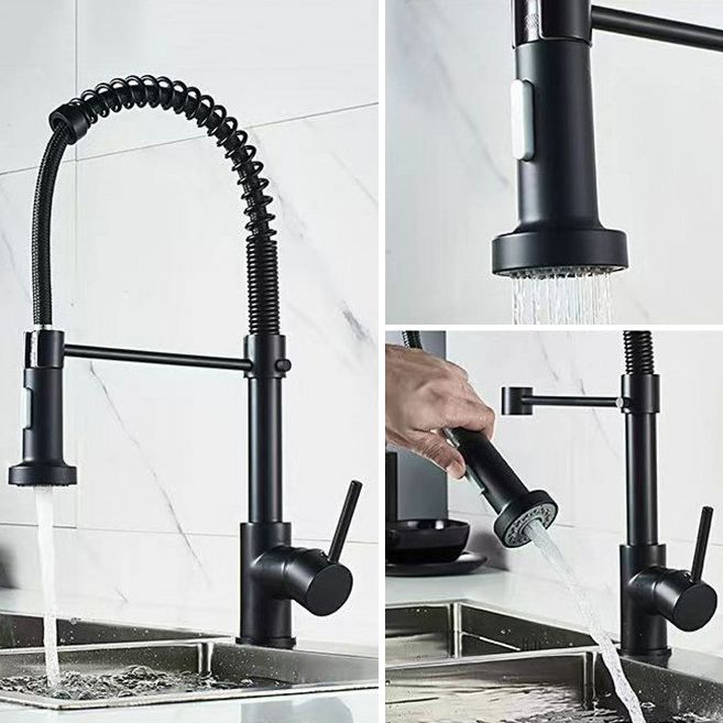 Modern 1-Handle Faucet Spring Spout with Water Dispenser Standard Kitchen Faucet