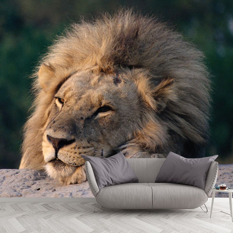 Lion Having A Doze Mural Wallpaper Modern Non-Woven Fabric Wall Covering in Brown