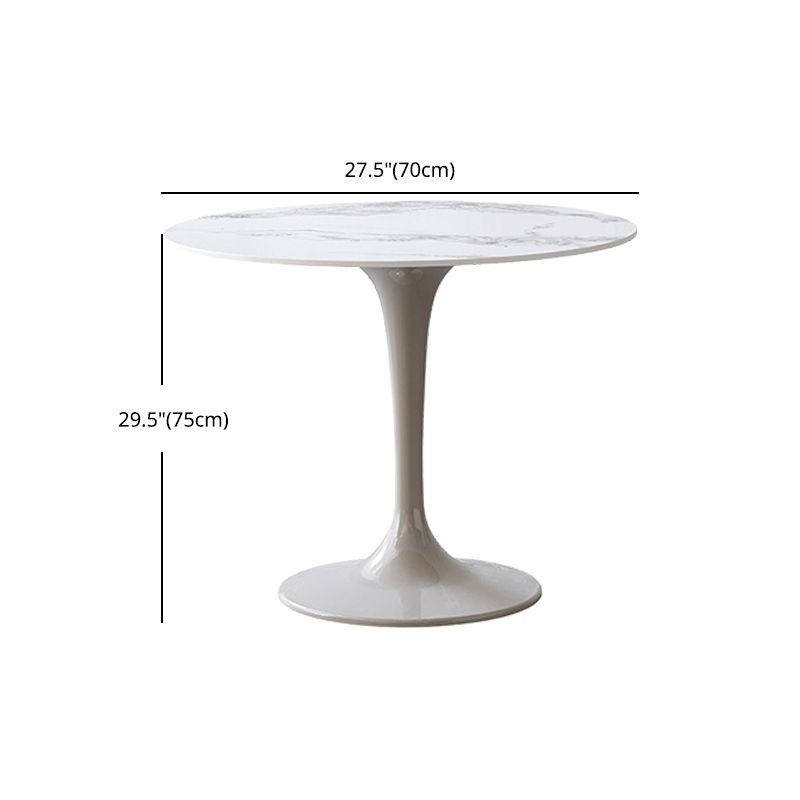 Modern 1/3/4/5 Pieces Sintered Stone Dining Set Dining Furniture Set /Separate Items