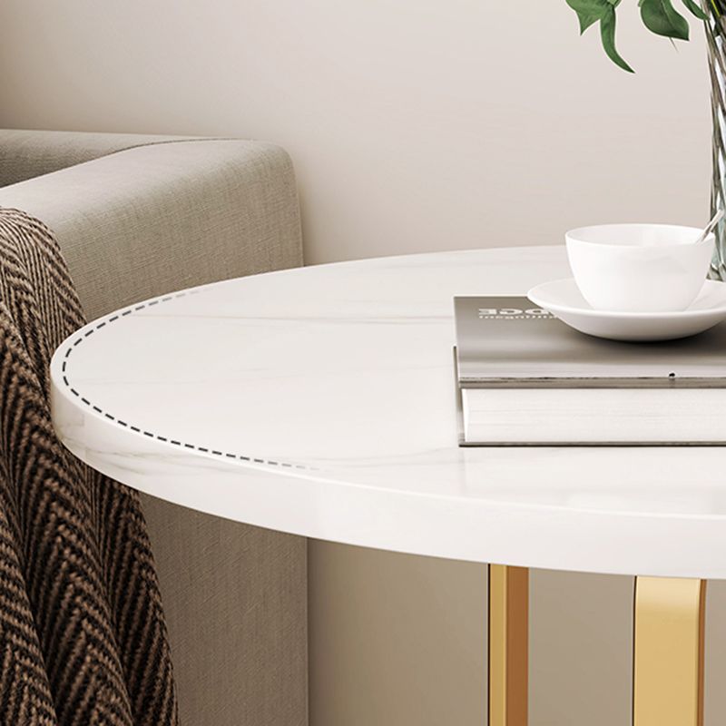 Modernistic Metallic Pedestal End Table MetalRound Slate Top Side End Table