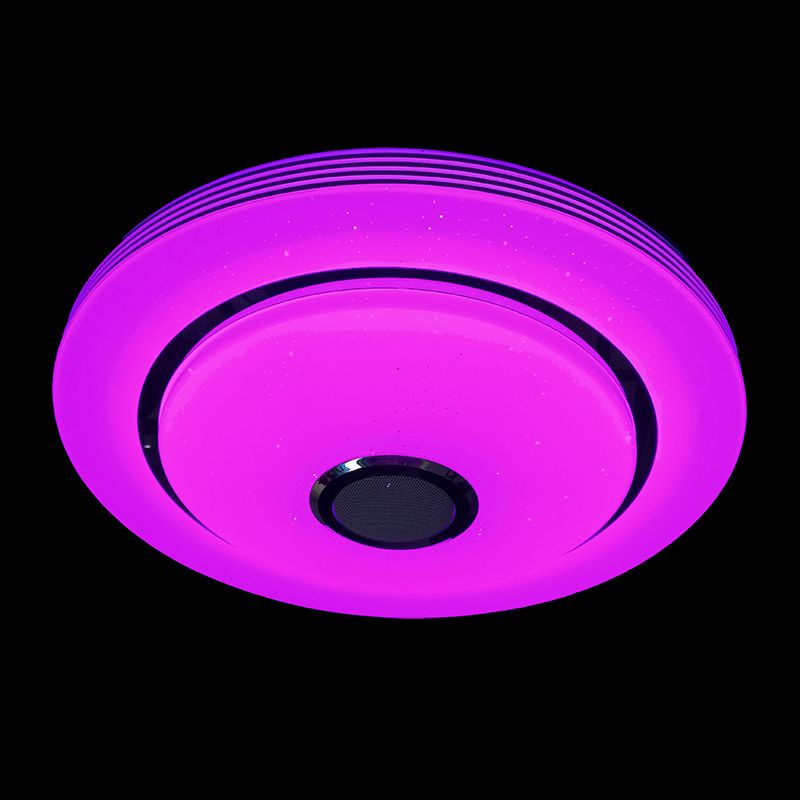 LED Ceiling Light Fixture Phone Control Light Bluetooth Light Indoor Light Foyer Light