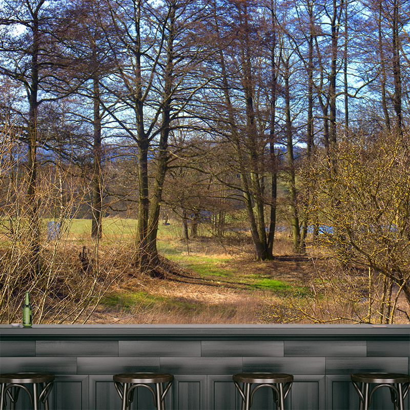 Misty Forest Scenery Stain-Proofing Wall Decor for Living Room Bedroom