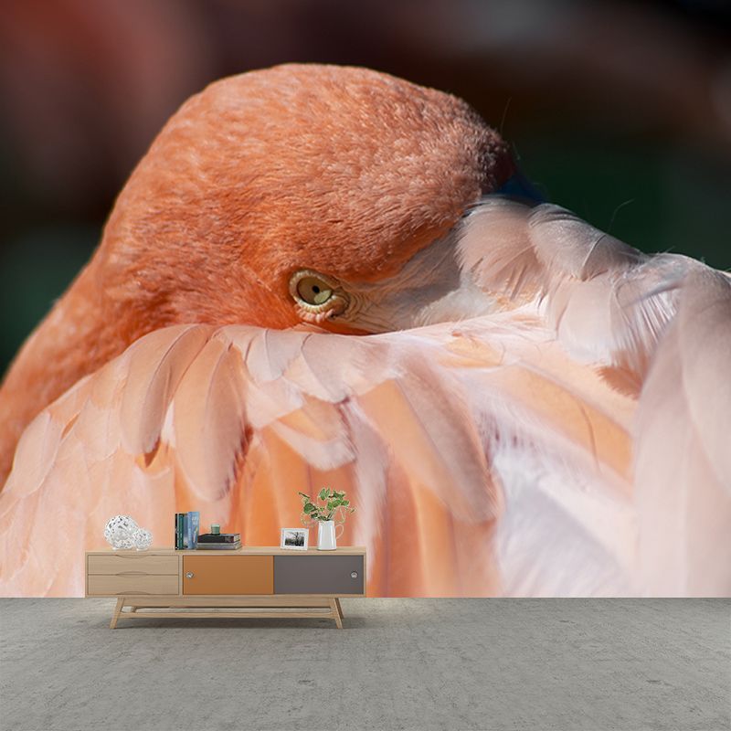 Flamingo Customized Wall Mural Contemporary Photography for Living Room