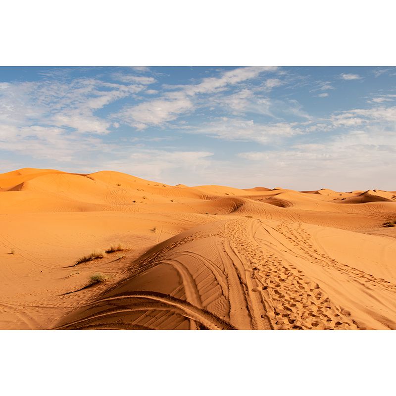 Desert Mound Wallpaper Mural Natural Landscape Wall Covering, Custom Print