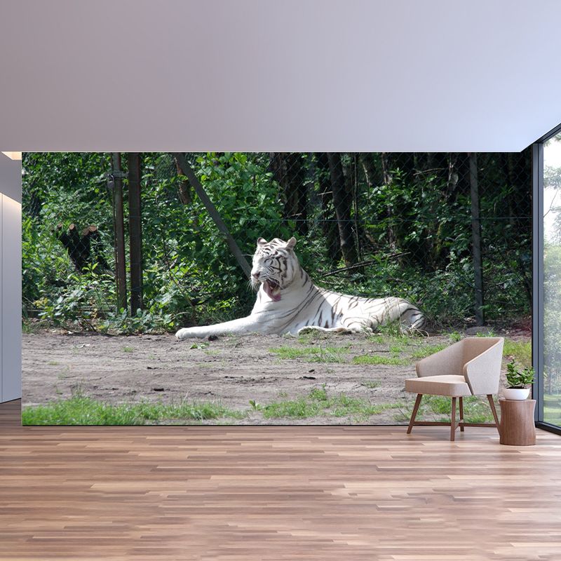 Tiger Animal Wall Mural Stain Resistant Wall Covering for Living Room Bedroom