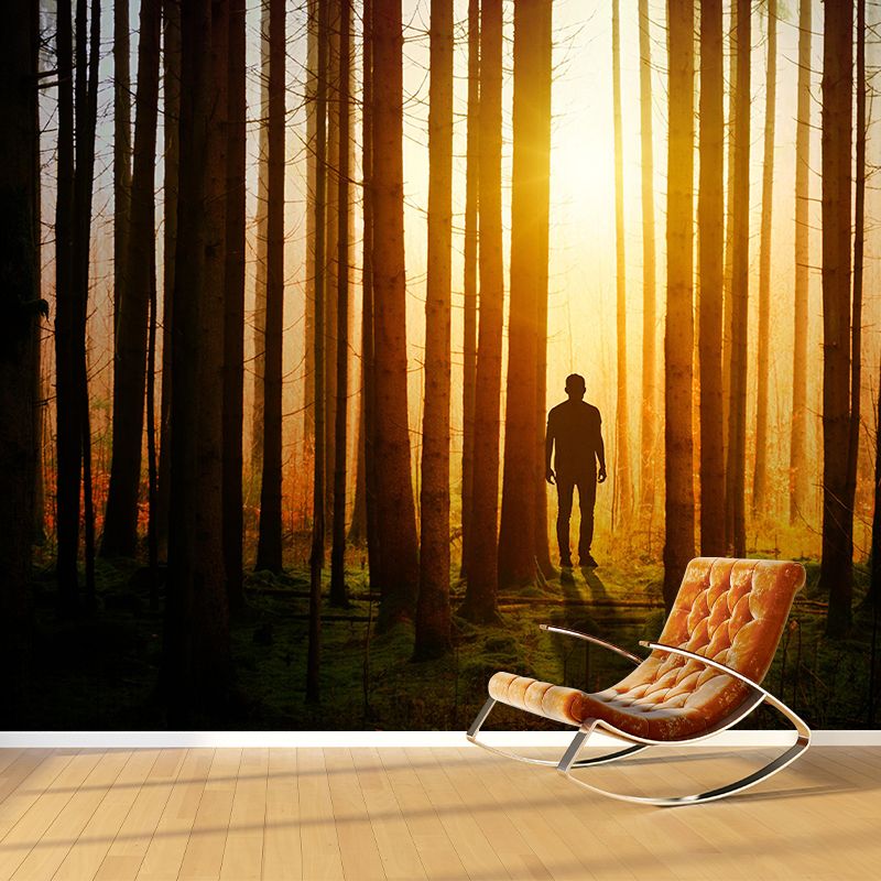 Stain Resistant Wall Mural Environmental Landscapes Photography Wall Mural