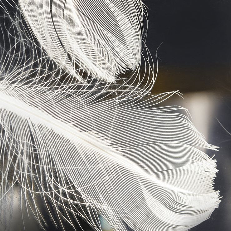 Montaje semi descarte de aluminio negro en moderno de techo de plumas de estilo conciso con sombra acrílica