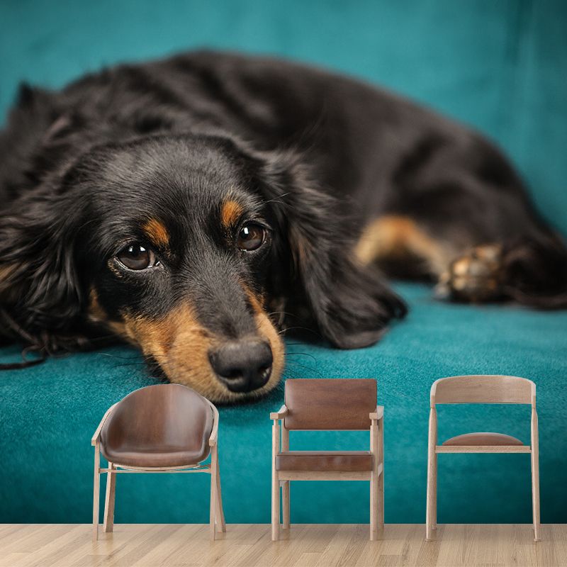 Full Size Photography Lovely Dog Mural Wallpaper Wall Decor for Boys Room