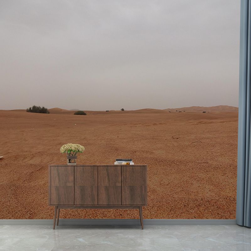 Contemporary Style Desert Wall Mural Mildew Resistant Wall Decor