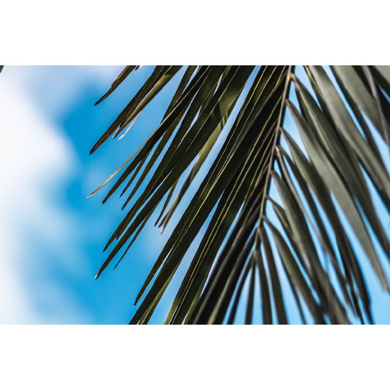 Tropical Palm Leaves Wall Covering Stain Resistant Living Room Wall Decor