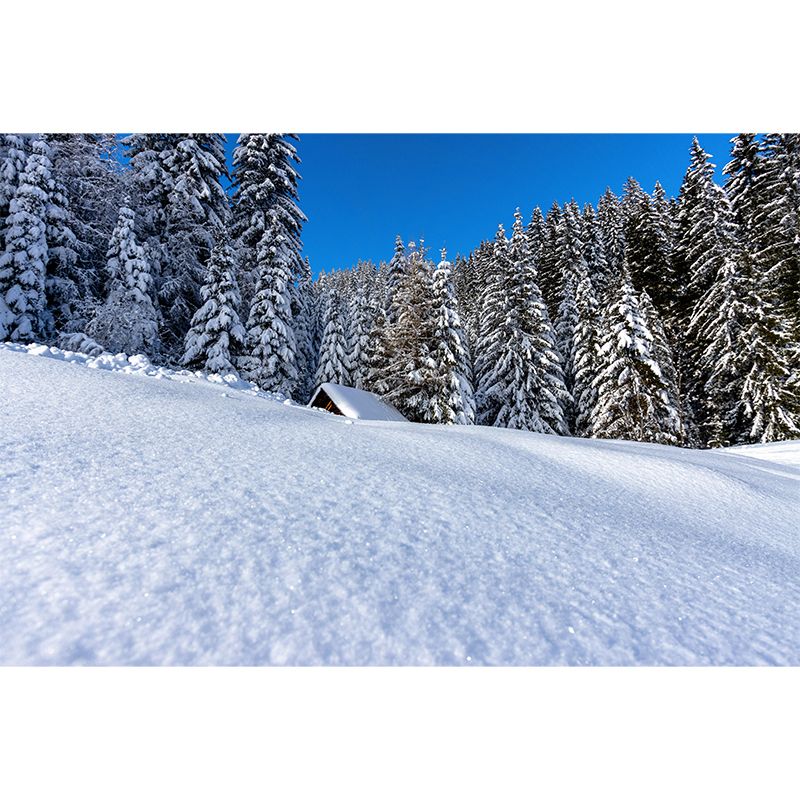 Huge Forest Landscapes Mural Horizontal Photography Wall Covering for Bedroom