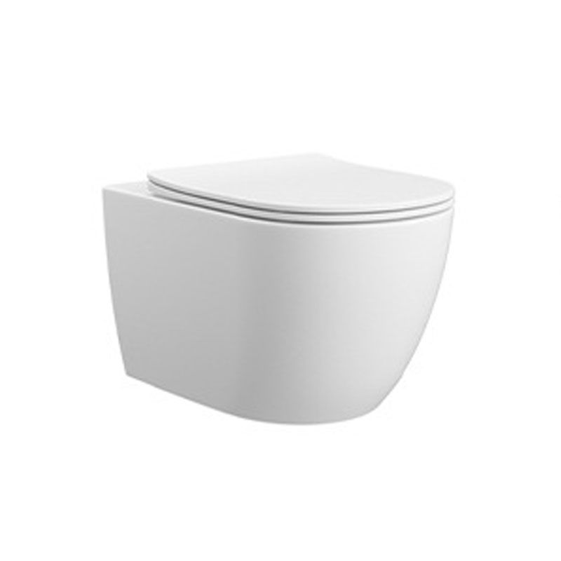 Contemporary Wall Hung Toilet Bowl Polished Finish Toilet with Glazed Surface