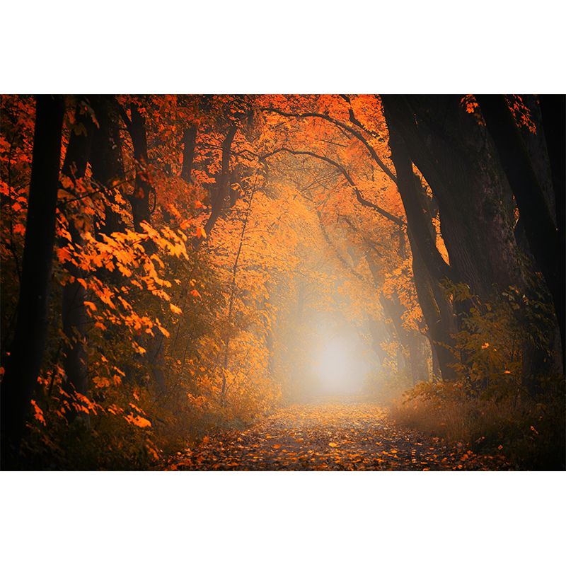 Contemporary Forest Mural Wallpaper Photography Horizontal Mildew Resistant for Bedroom