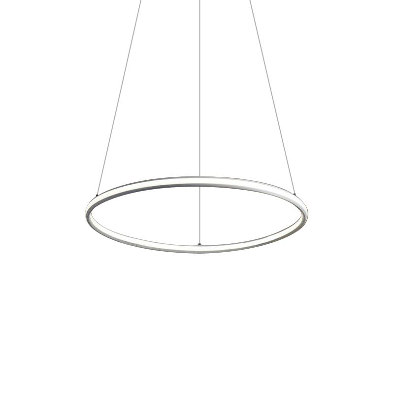 Acrylic Ring Chandelier Simple 1/2/3-Light LED Ceiling Pendant Lighting Fixture in Warm/White/Natural Light