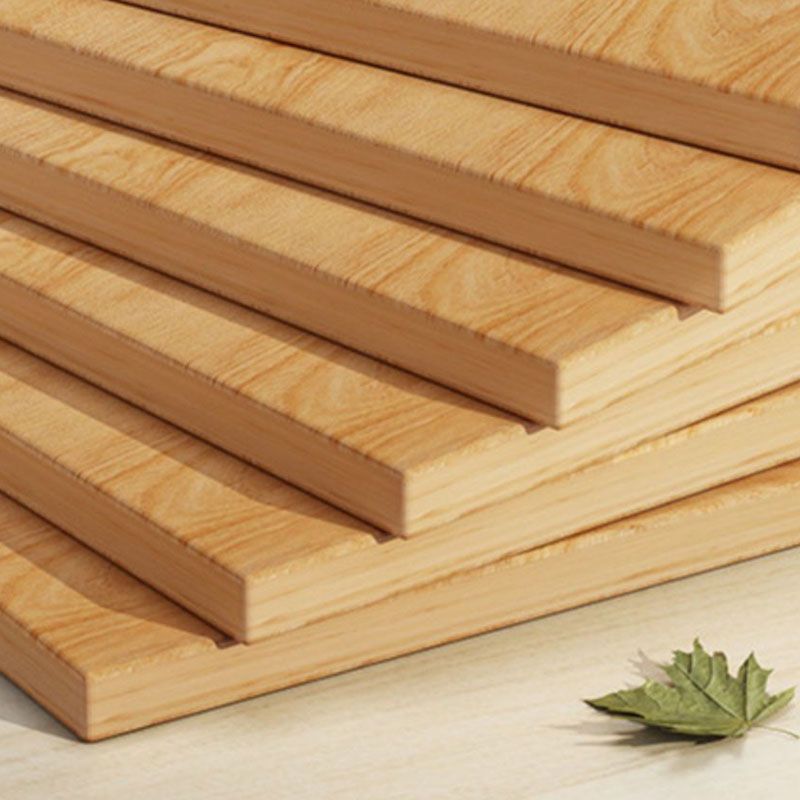 Contemporary Closed Back Bookcase Engineered Wood Bookshelf for Home Office