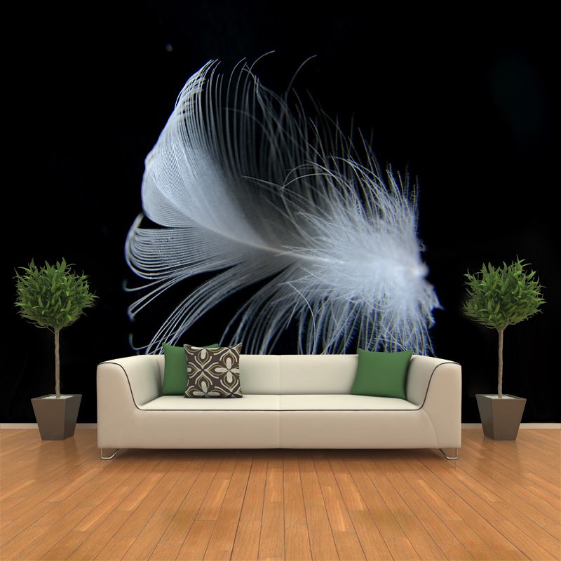 Peculiar Feathers Wall Paper Murals Moisture Resistant Living Room Wall Decor