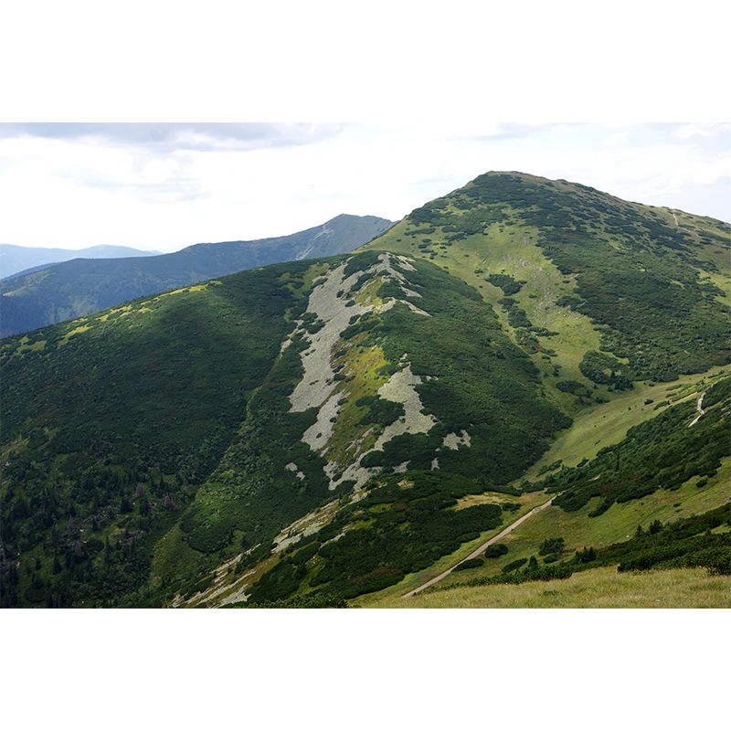 Modern Mountains Mural Contemporary Home Decor for Sitting Room, Water Resistant