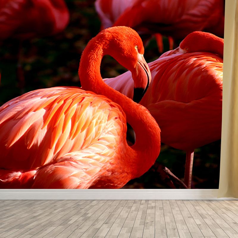 Flamingo Wall Mural for Sitting Room Water Resistant Wall Decor, Made to Measure