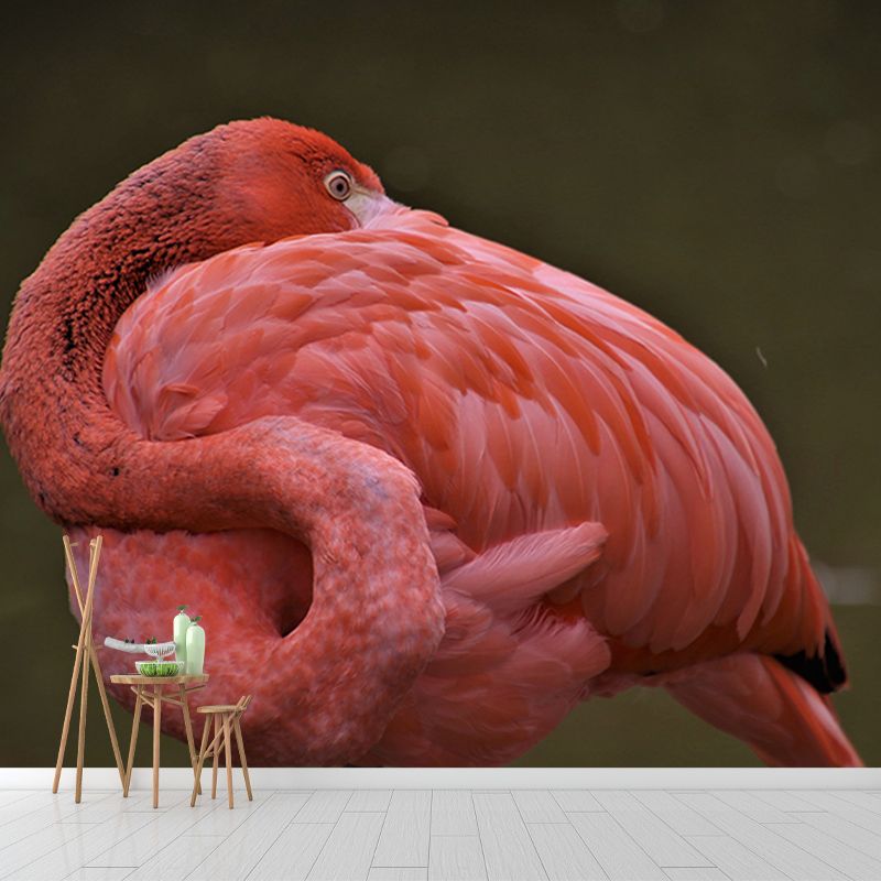 Flamingo Tropica Home Decor Modern Sitting Room Bedroom Wall Decoration Wallpaper