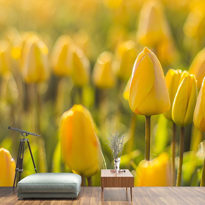 Washable Stain Resistant Mural Wallpaper City Landscape Indoor Wall Mural