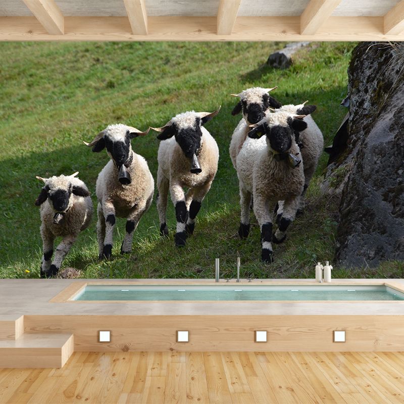 Lovely Animal Sheep Mural Decal Customized Contemporary Style Wall Covering