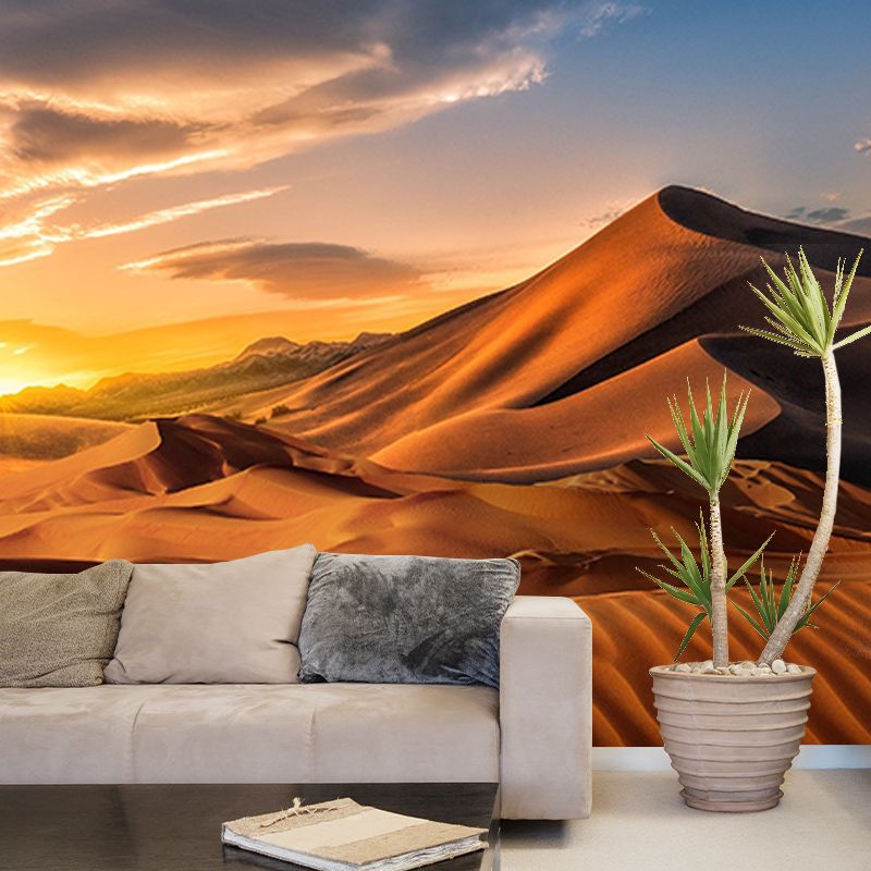 Beautiful Photography Mural Wallpaper Desert Indoor Wall Mural