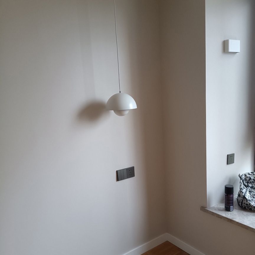 Modern Globe Pendant Ceiling Lights 1 Light Pendant with Stainless Steel Shade for Bedroom