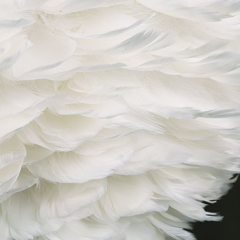 White Drum Pendant Light in Modern Creative Style Wrought Iron Chandelier with Feather Shade