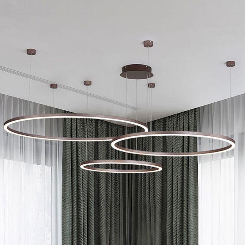 Modern Orbicular Pendant Lighting Fixtures Metal Pendant Chandelier