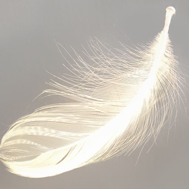 Lampada da parete a parete a forma di nuvola in metallo a 1 luci a parete montata a parete