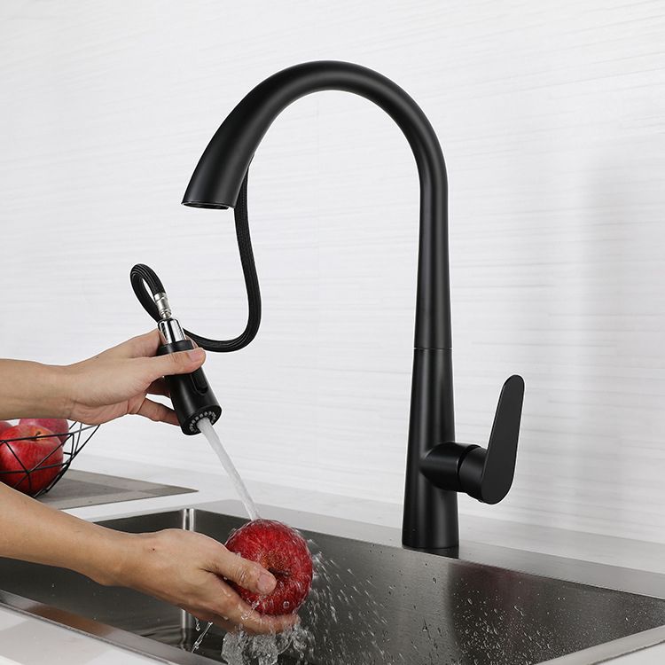 Modern Retractable Kitchen Faucet Stainless Steel Single Handle High Arc Kitchen Faucet