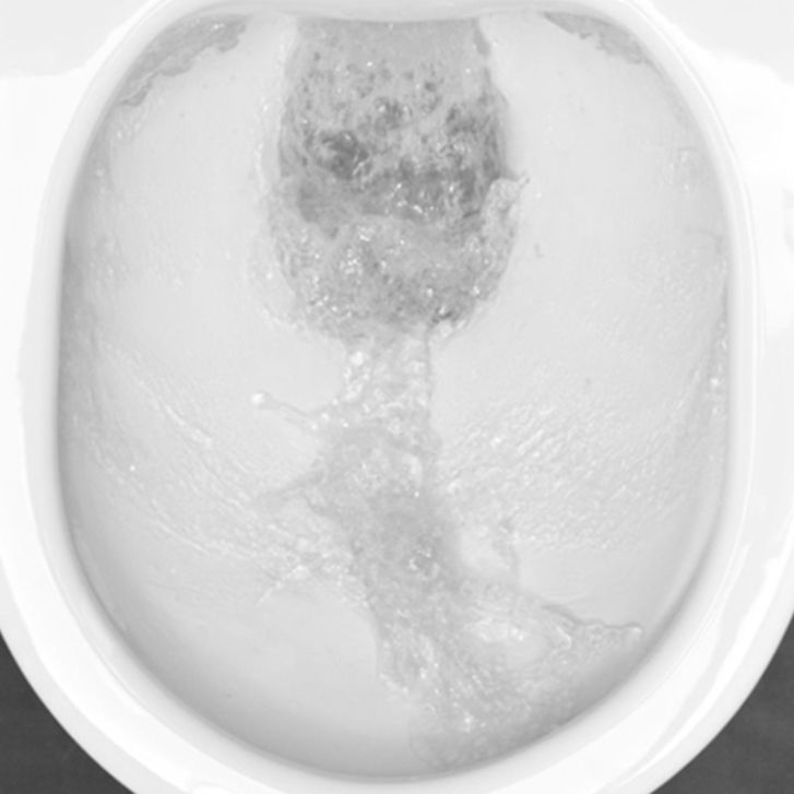 Contemporary Flush Toilet Wall Mount One-Piece Toilet Porcelain Toilet Bowl