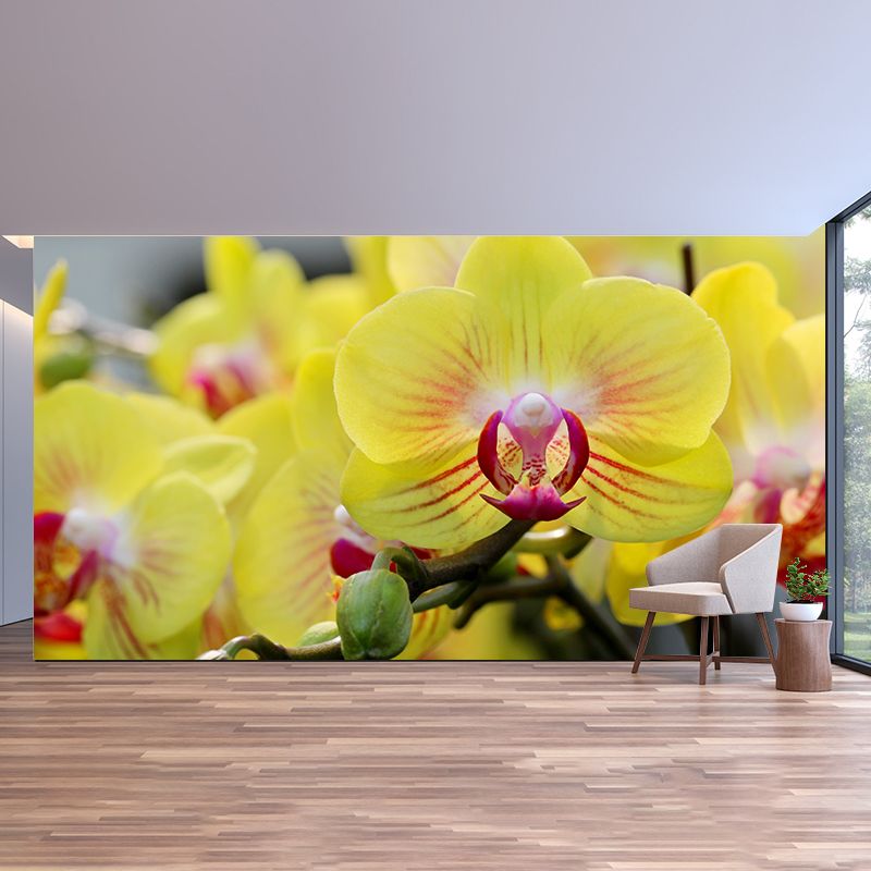 Modern Girl Room Decoration Orchid Mural Wallpaper, Custom Size Available