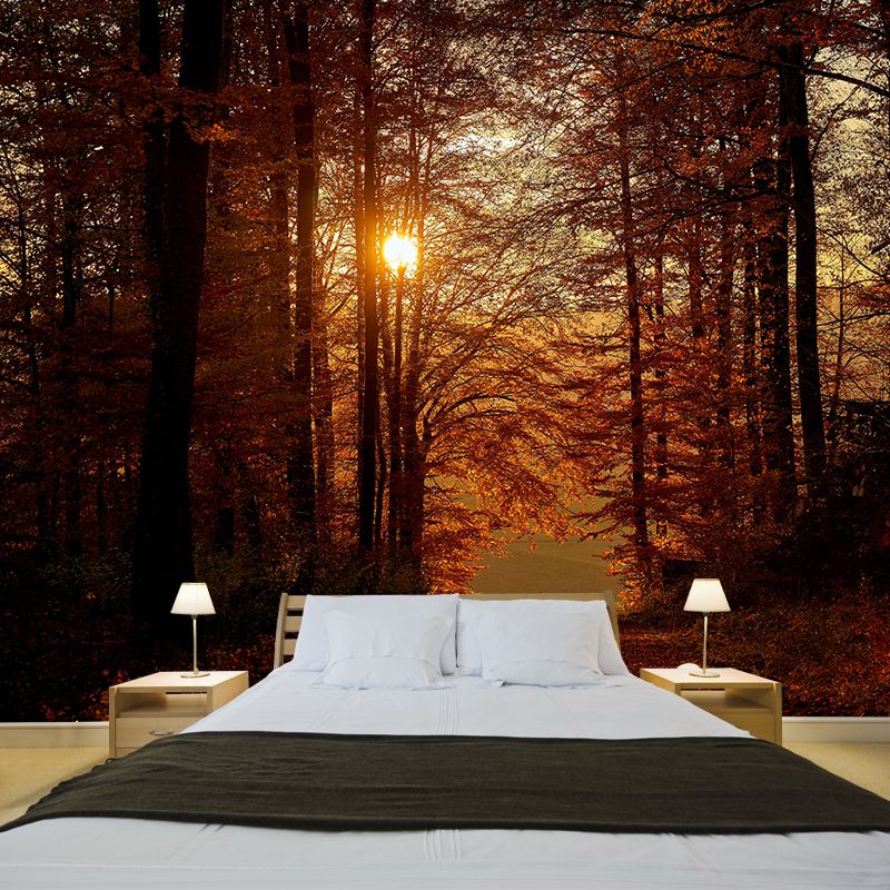 Autumn Forest Landscape Removable Wall Mural for Reading Room, Stain Resistant