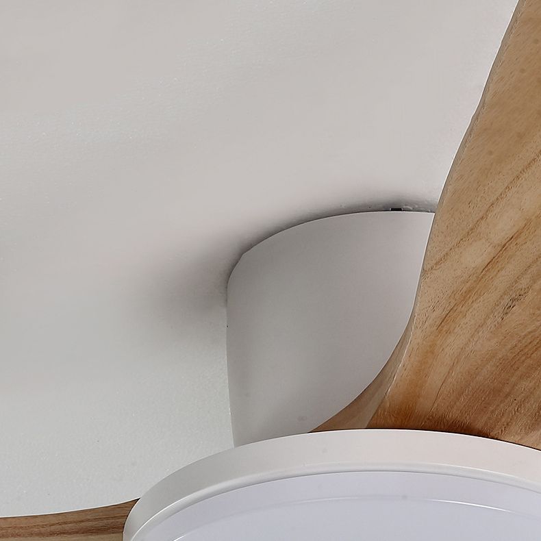 Colorful LED Ceiling Fan Light Fixture Nordic Ceiling Flush Mount for Kids' Room