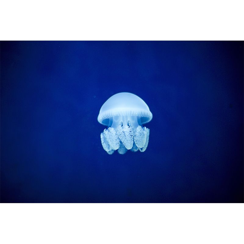 Jellyfish Mural Decal Wall Art Mildew Resistant for Decoration Sitting Room