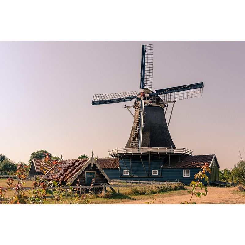 Photography Modern Mural Wallpaper with Windmill Landscape for Decoration
